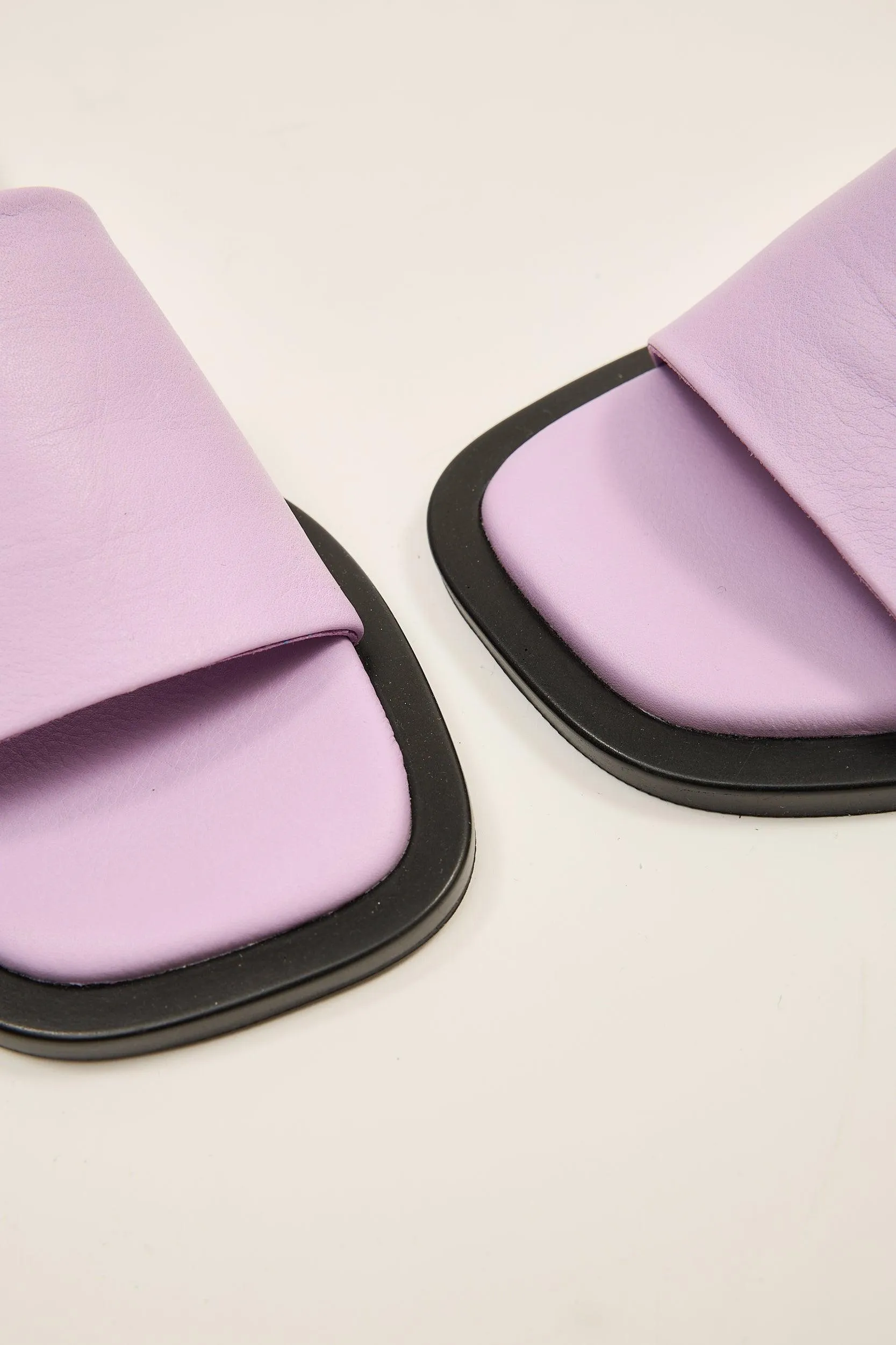 Alo Flop Purple