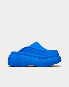 Blue Clogs